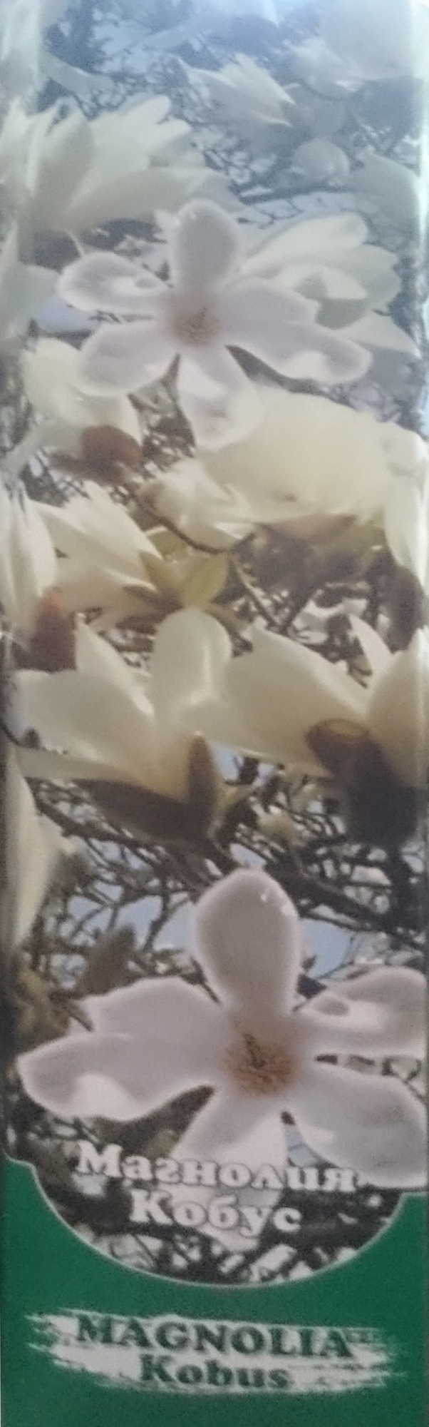 Магнолия кобус (Magnolia Kobus)
