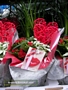 Каланхое, фитония (Kalanchoe, Fittonia)