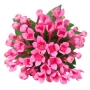 Бувардия (Bouvardia)