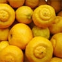 Цитрус бергамина (Citrus bergamina, cytrus bergamot)