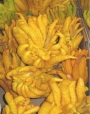 Цитрус, Ръката на Буда (Citrus medica var sarcodactylus)