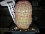 Ехиноцереус (Echinocereus rigidissimus)