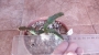 Еуфорбия (Euphorbia stellata)