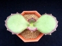 Каланхое (Kalanchoe synsepala)