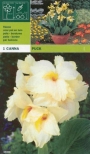 Кана (Canna Puck)