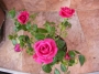 Мини роза цикламена (Mini rose)