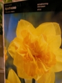 Нарцис (Narcissus Apotheose)
