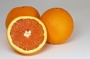 Портокал (Citrus sinensis Lane Late)
