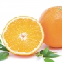 Портокал (Citrus sinensis Lane Late)