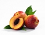 Праскова нектарина сорт фантазия (Prunus, Peach nectarine fantasia)