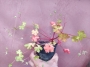 Растение (Plant)