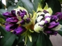 Рододендрон, лилав (Rhododendron Marcel Menard)