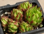 Семпервивум Жовибарба (Sempervivum Jovibarba hirta)