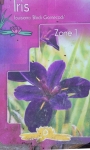 Воден ирис (Water Iris Louisiana Black Gamecock)