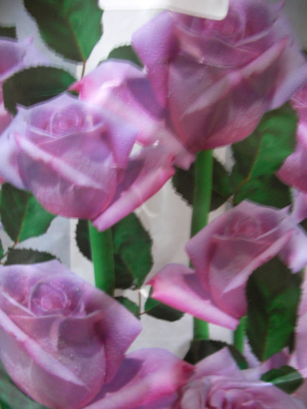 Увивна роза синьо лилава (Rose)