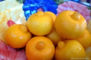 Цитрус бергамина (Citrus bergamina, cytrus bergamot)