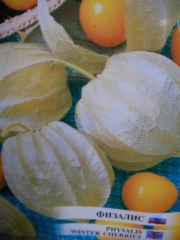 Физалис, семена (Physalis)