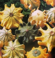 Кратунки, семена (Cucurbita pepo)