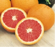 Портокал червен (Citrus sinensis red orange)