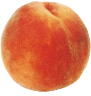 Праскова сорт Хале (Prunus, Glohaven Peach)